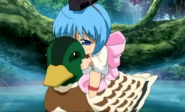 Binchou-tan on duck
