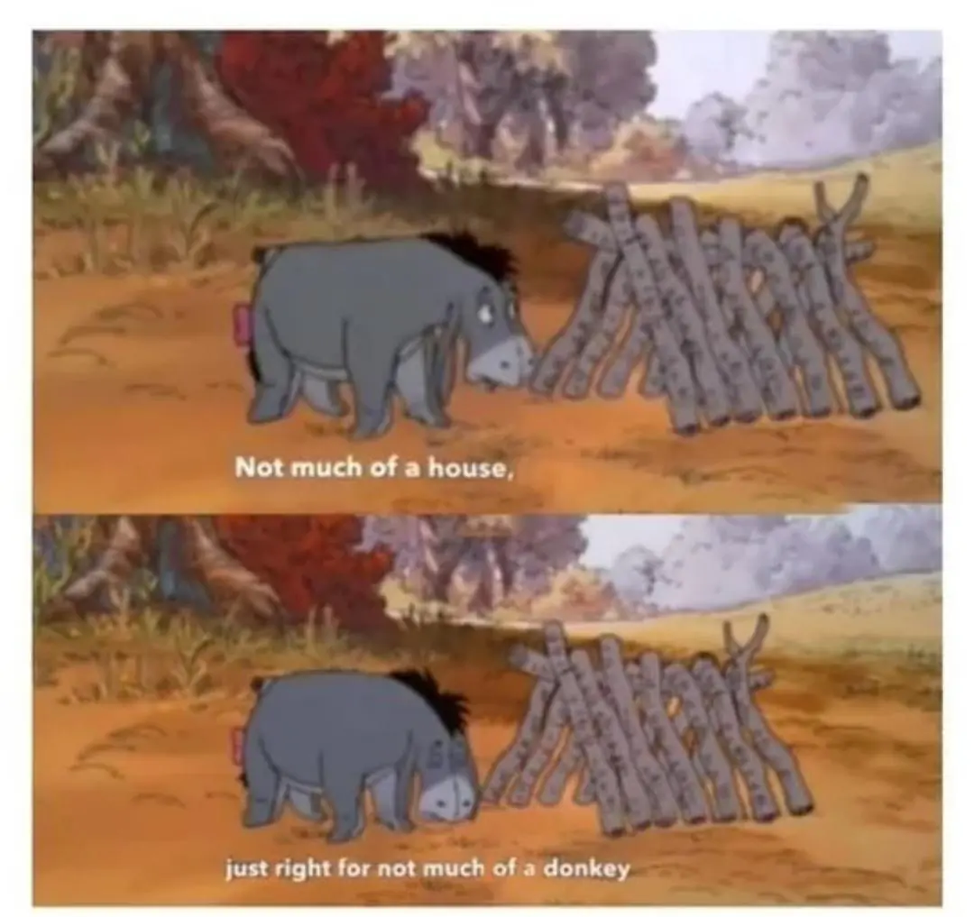A sad donkey's shack