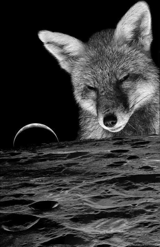 The Star Fox rises over the Earth